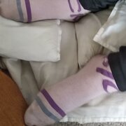 Socks Lover