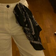 Paisley