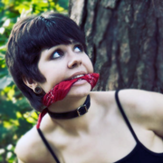 jtgcollar