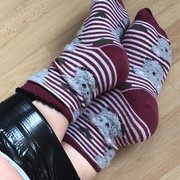 boundinsocks