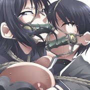 ddsh216
