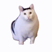 sbzxc