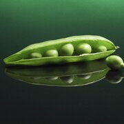 Huelsenfrucht