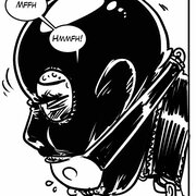 SatinHood