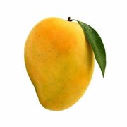Mango_