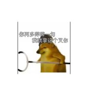122994426