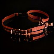 WoodShavings