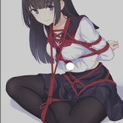 30356494