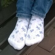 sockfee