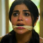 desi_silencer