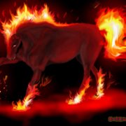 buffaloman99