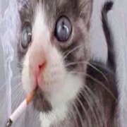 nat___