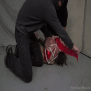 Paulblart78