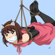 DogCat99