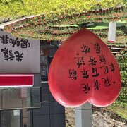 3151542838@qq.com
