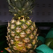 PineappleMan