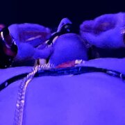 Lana777