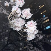 Yuakakai