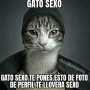 Elvergonza