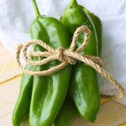 evilgreenchile