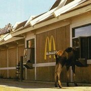TheMcGlins