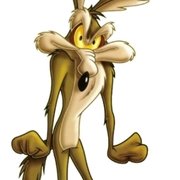 Coyote 2