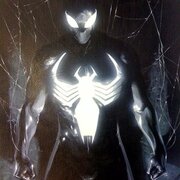 aranhanegro
