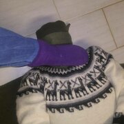 bigsock