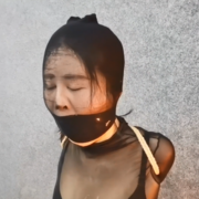 asianbondage