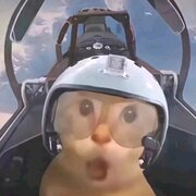 kingspenguin