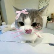 littleluna