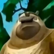 WYPAI YJ