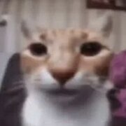 Benfrqnk