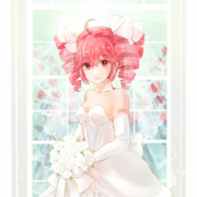 Bride_kidnapper