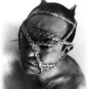 krakeseden