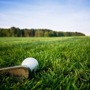 Golf333