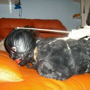 bondagefur